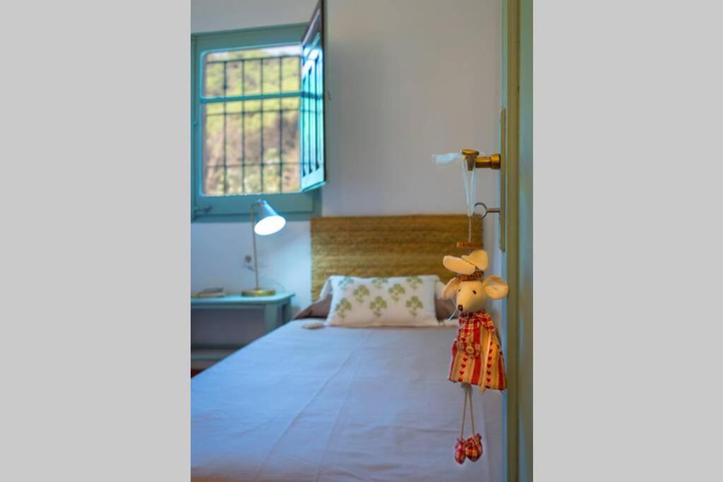 Casa Rural Mas Del Gall - Casa Nova, Barcelona Villa Tordera Esterno foto